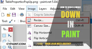 Simple Steps to Resize and Scale Down Images in Paint
