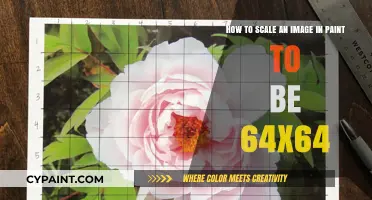 Easy Guide: Scaling Images to 64x64 in Paint Effortlessly