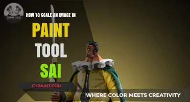 Scaling Images in Paint Tool Sai: A Simple Guide