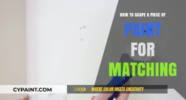 Scraping Paint for Matching: A Step-by-Step Guide
