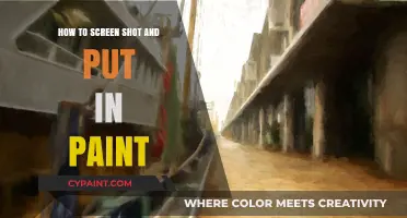Mastering Screenshots: Easy Steps to Capture and Edit in Paint