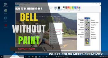 Easy Ways to Screenshot on Dell Without Using Paint Tool