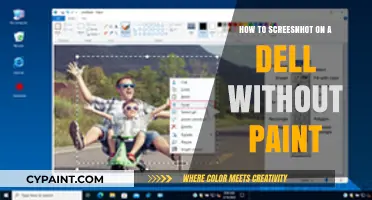 Quick Guide: Screenshot on Dell Without Using Paint Tool