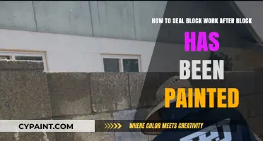 Sealing Painted Block Work: Essential Steps for Long-Lasting Protection