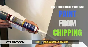 Protect Your Outdoor Living Paint with a Sealant