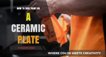 Sealing Paint on Ceramic Plates: A Step-by-Step Guide to Preservation