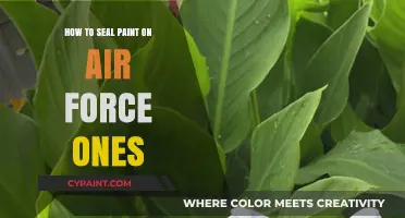 Sealing Paint on Air Force Ones: A Step-by-Step Guide to Long-Lasting Customization