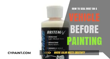 Sealing Rust Before Painting: The Ultimate Guide for Car Owners