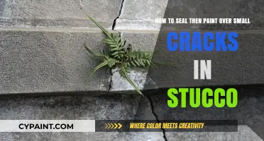Sealing and Painting Stucco: Repairing Small Cracks for a Smooth Finish