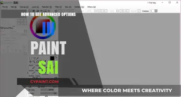 Unlocking Paint SAI: Accessing Advanced Options for Enhanced Creativity