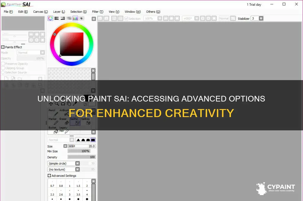 how to see advanced options in paint sai