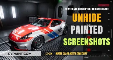 Revealing Hidden Text: Unhiding Painted Screenshots Made Easy
