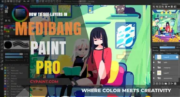 Master Medibang Paint Pro: Easily View and Manage Layers