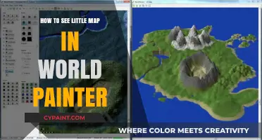 Mastering World Painter: How to View the Mini Map Easily