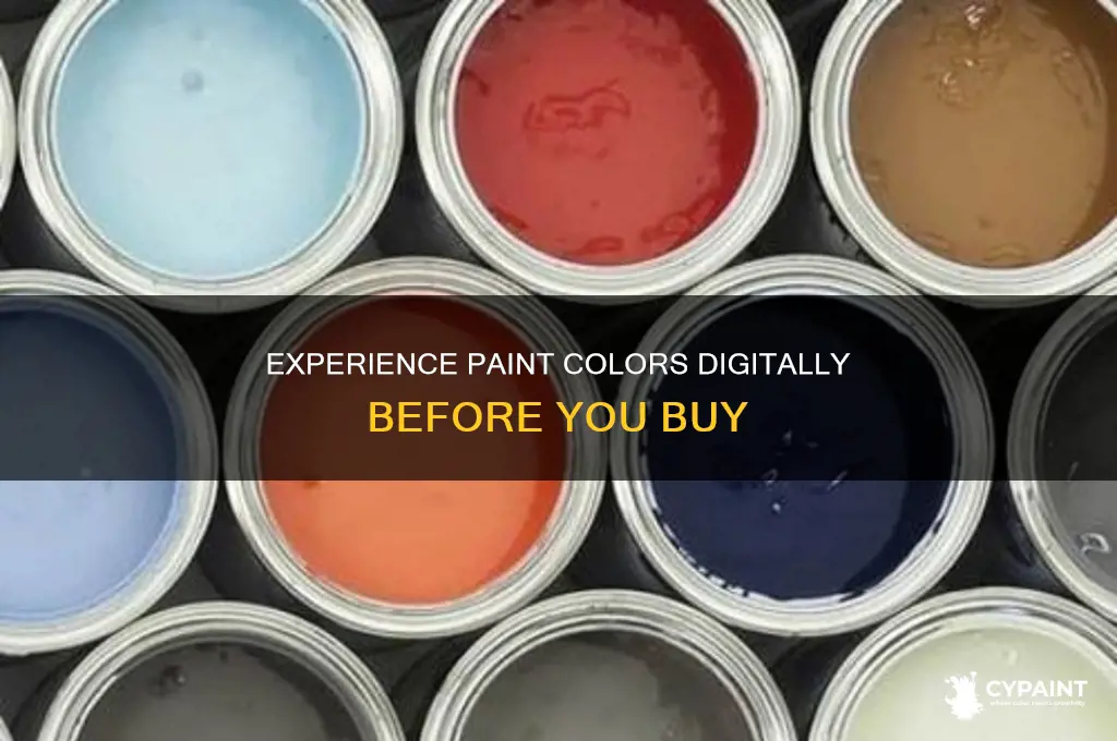 how to see paint colours in a room digitally