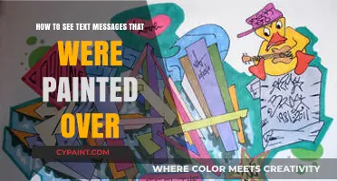 Uncover Hidden Text Messages: Paint Can't Hide Secrets