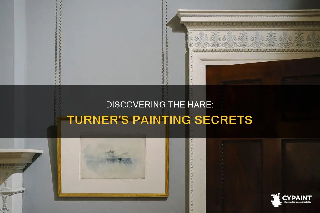 how to see the hare in turner