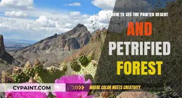 Explore Arizona's Painted Desert and Petrified Forest