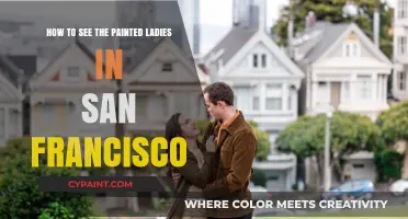 Explore San Francisco: Discover the Painted Ladies