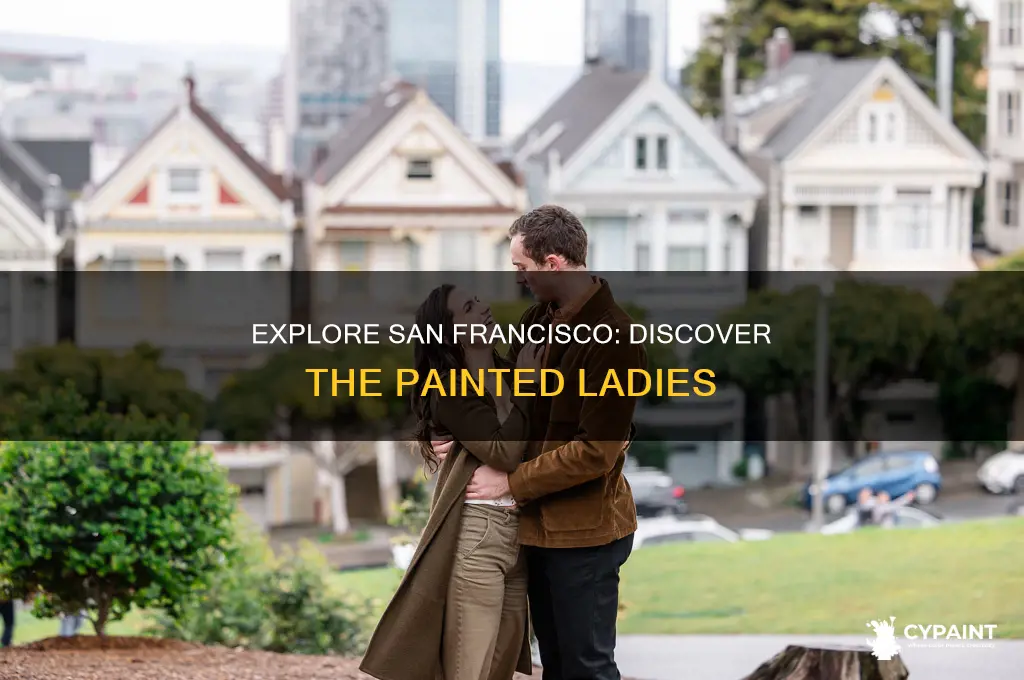 how to see the painted ladies in san francisco