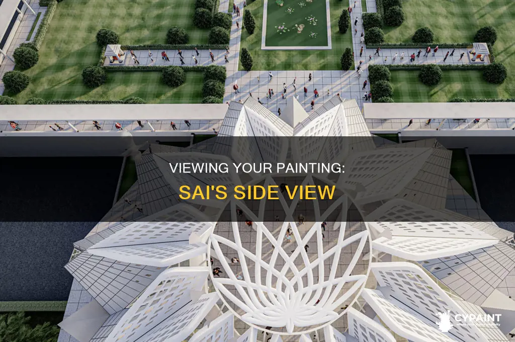 how to see your painting on the side sai