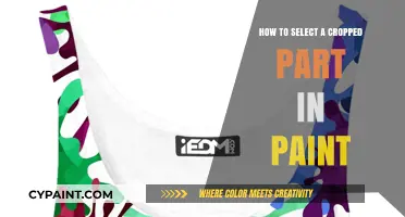Mastering Crop Selection in Paint: A Step-by-Step Guide