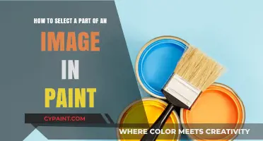 Mastering Image Selection: A Step-by-Step Guide in Paint Tool