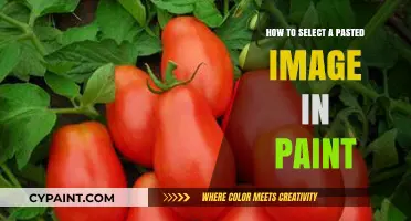 Mastering Paint: Easy Steps to Select Pasted Images Effortlessly