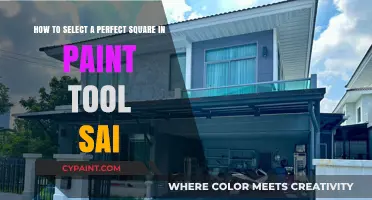 Mastering Perfect Squares in Paint Tool SAI: A Step-by-Step Guide