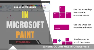 Mastering Microsoft Paint: A Simple Guide to Selecting Photos