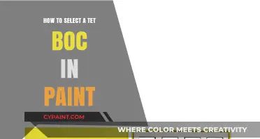 Choosing the Perfect Tet Box in Paint: A Step-by-Step Guide