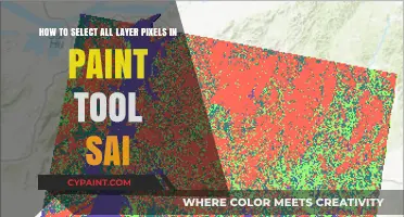 Mastering SAI: Effortlessly Select All Layer Pixels in Paint Tool SAI
