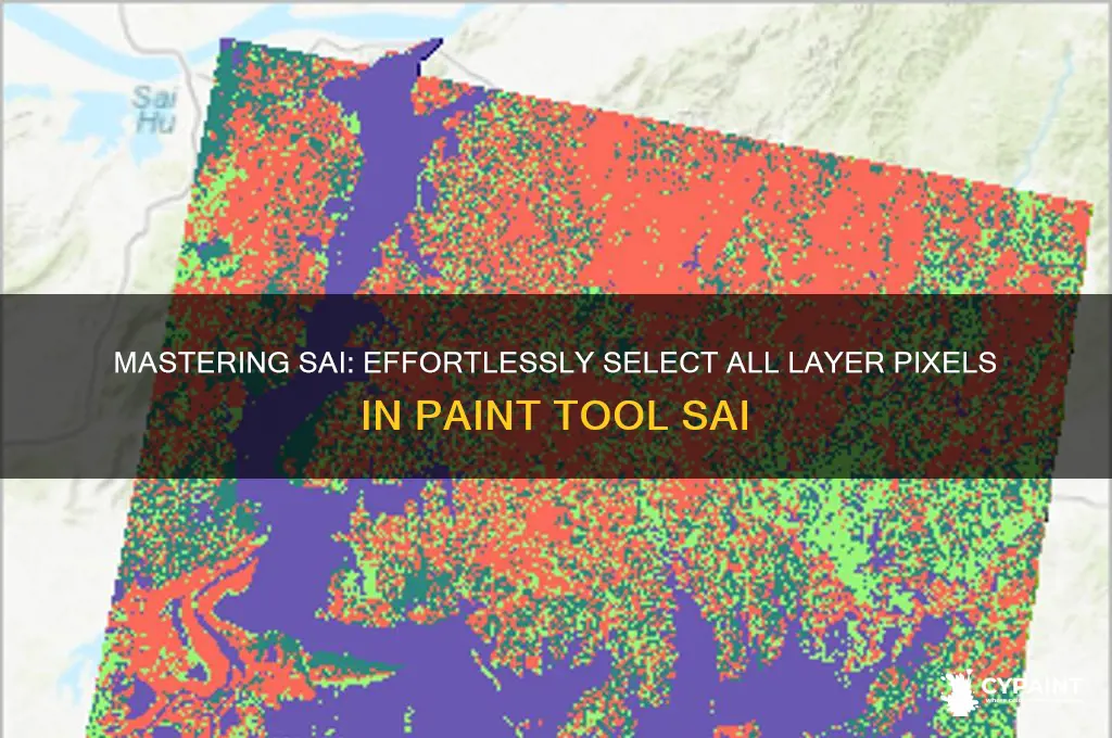 how to select all layer pixels in paint tool sai