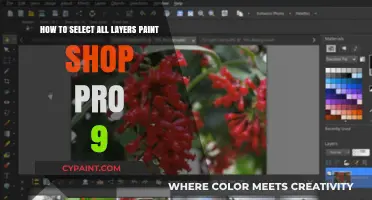 Selecting Layers in Paint Shop Pro 9: A Quick Guide