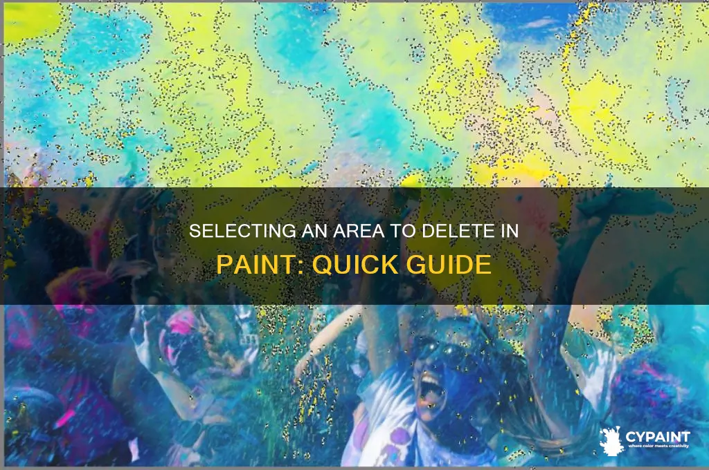 how to select an area in paint to delete
