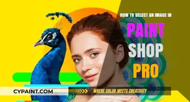 Selecting Images in Paint Shop Pro: A Step-by-Step Guide
