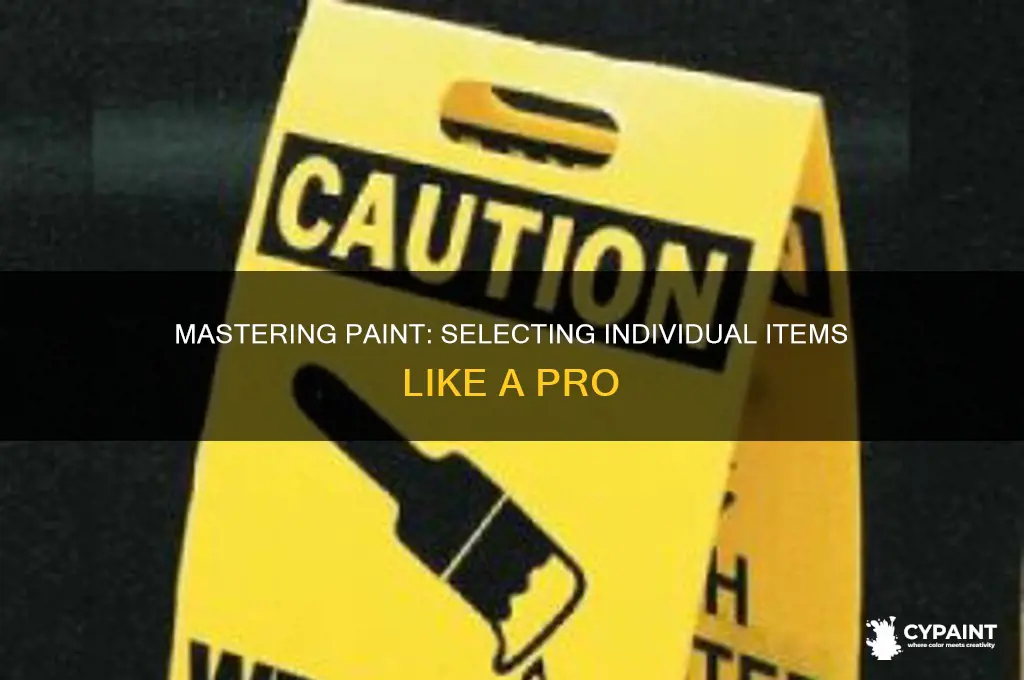how to select an individual item in paint