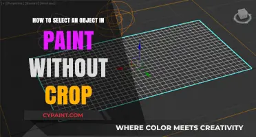 Selecting Objects in Paint: No Cropping Required