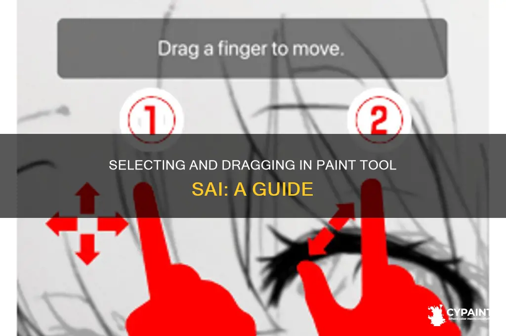 how to select and drag objects paint tool sai