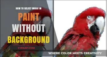 Mastering Paint: Selecting Images Without Backgrounds Like a Pro