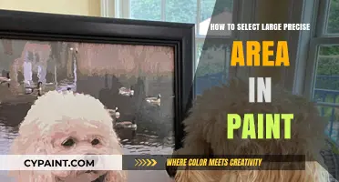 Mastering Paint: Selecting Large Precise Areas with Ease