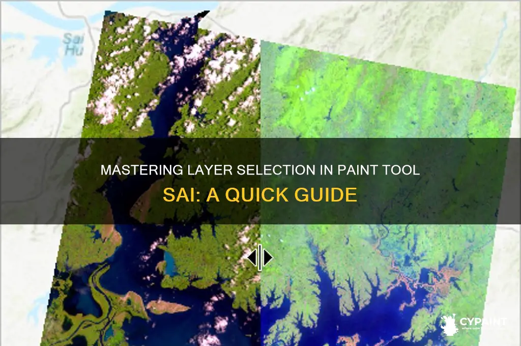 how to select multiple layers paint tool sai
