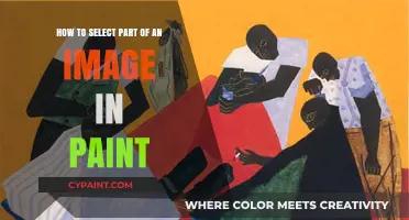 Selecting Image Sections: Paint Tips & Tricks
