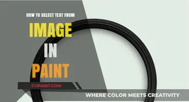 Selecting Text from Images in Paint: A Step-by-Step Guide
