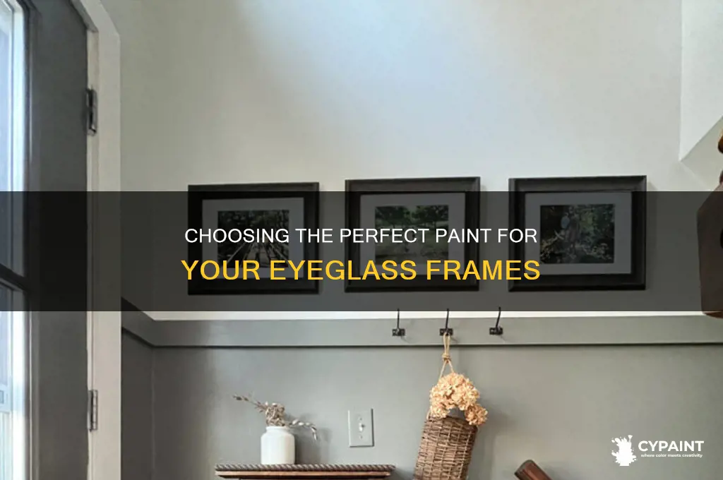 how to select the right paint for eyeglasses frame