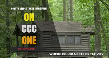 Selecting the Perfect Three-Stage Paint for Your CCC Project