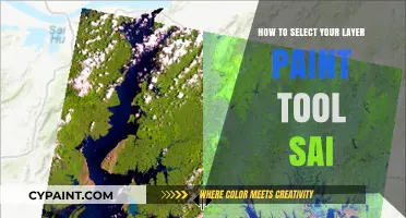 Mastering Layer Selection in Paint Tool SAI: Tips and Tricks