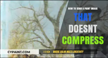 Transferring Paint Images Without Compression: The Ultimate Guide