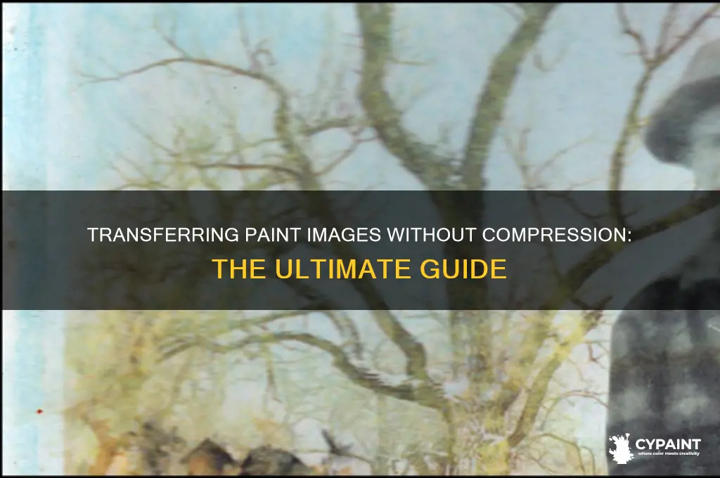 how to send a paint image that doesnt compress