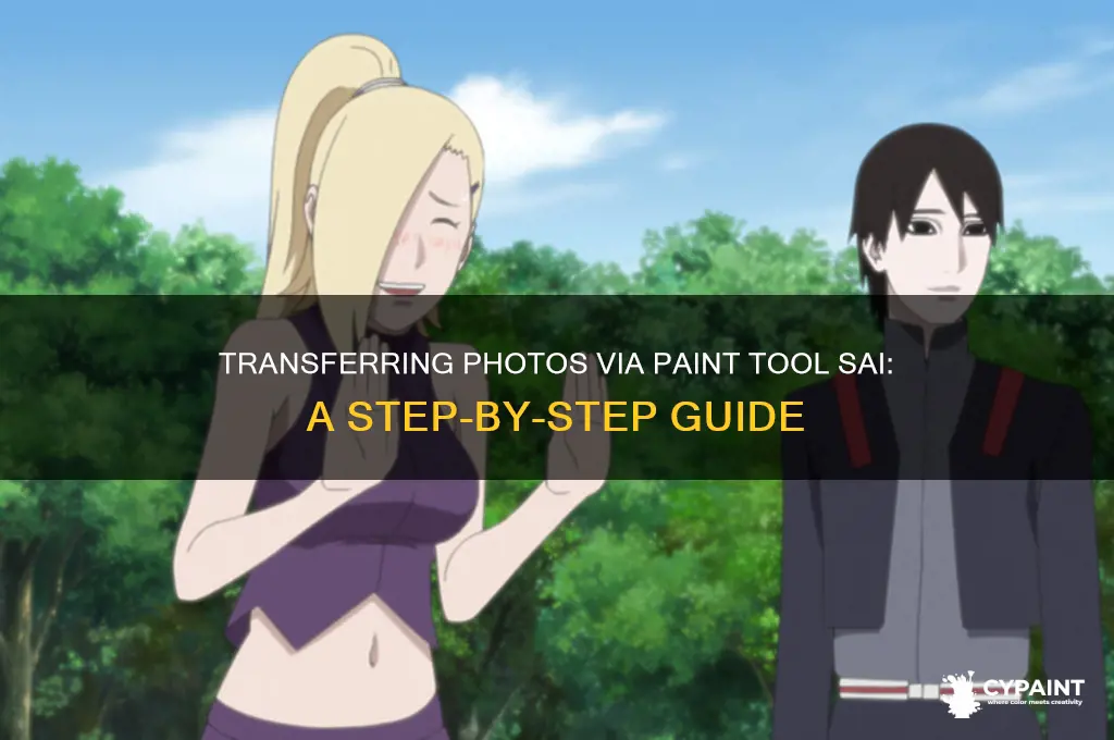how to send a photo from paint tool sai